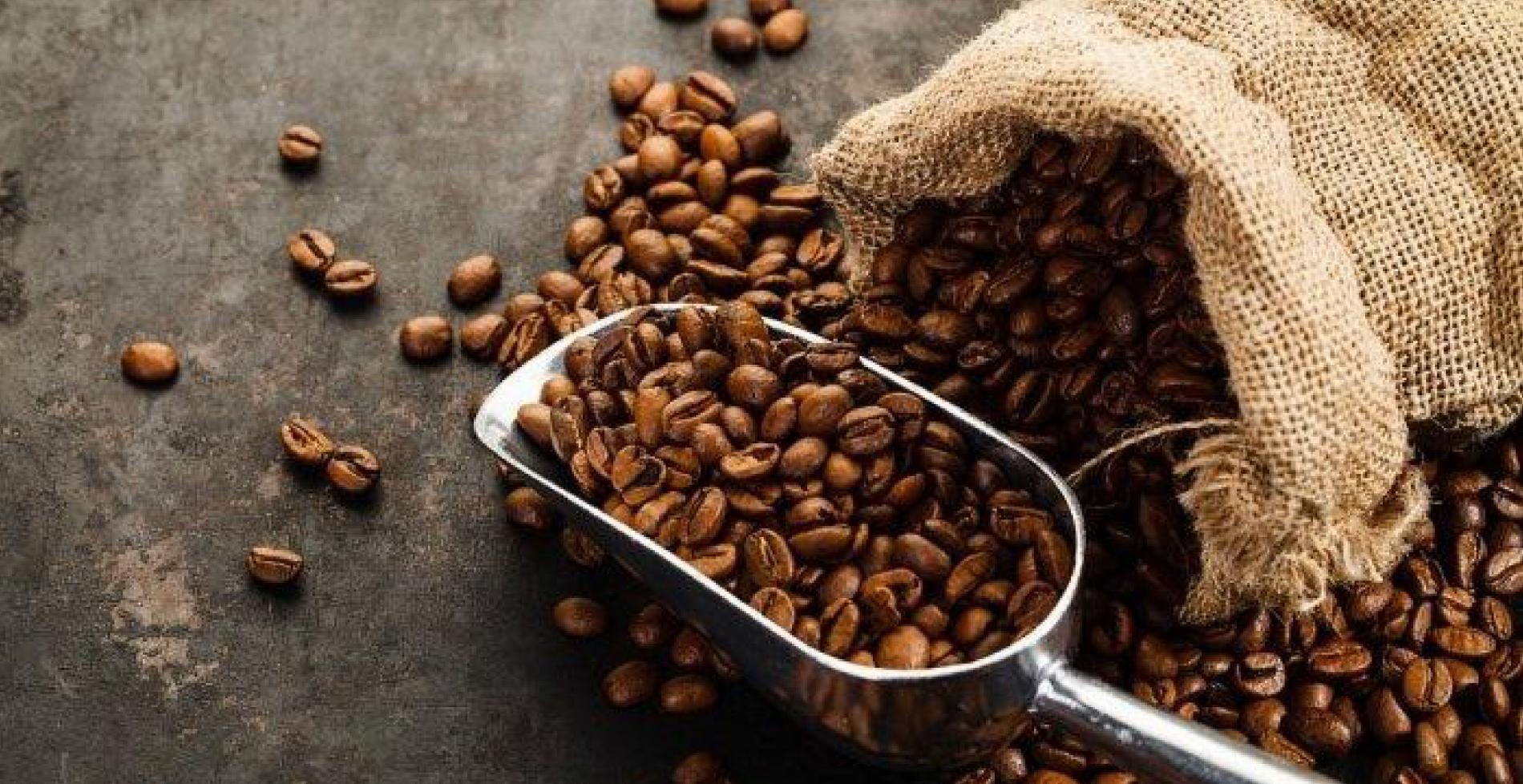 Eksportir Jawa Timur Sukses Transkasi 2.000 Ton Biji Kopi Robusta ke Mesir