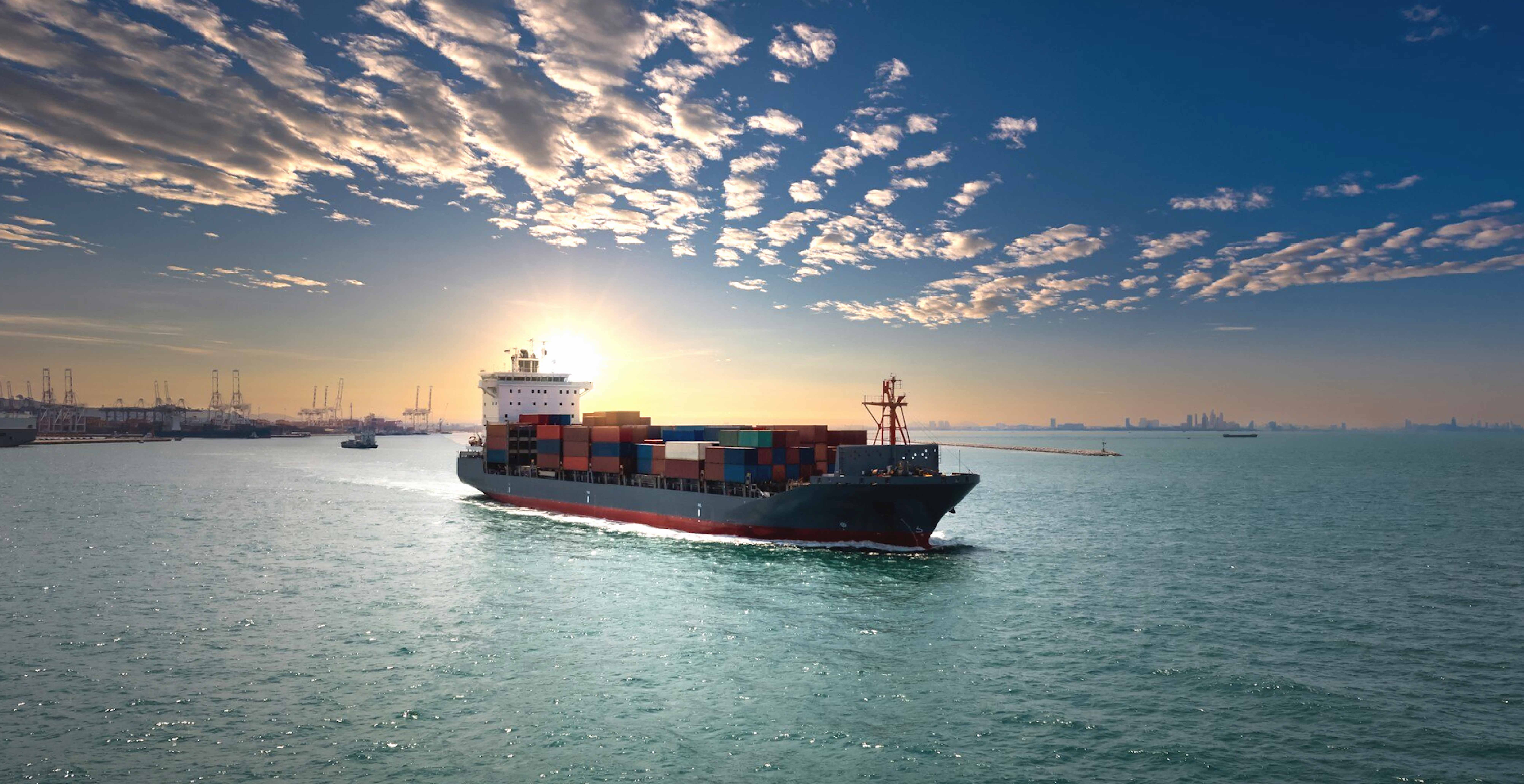 Global Market Business Challenges and Opportunities in the Year of the Snake